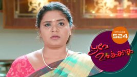 Poove Unakkaga S01 E524 10th May 2022