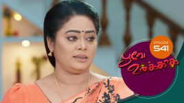 Poove Unakkaga S01 E541 30th May 2022