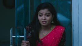 Prema Entha Maduram S01E449 16th October 2021 Full Episode