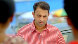 Pushpa Impossible S01 E161 Radha Disowns Pranav