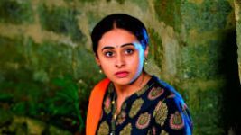 Puttakkana Makkalu S01 E270 6th December 2022