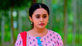 Puttakkana Makkalu S01 E272 8th December 2022