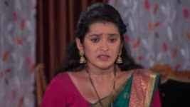Rahichi Rahibi Tori Pain S01E556 14th October 2020 Full Episode