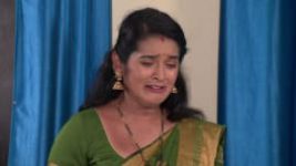 Rahichi Rahibi Tori Pain S01E560 19th October 2020 Full Episode
