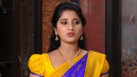 Raktha Sambandam S01E641 11th September 2020 Full Episode