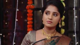 Raktha Sambandam S01E688 5th November 2020 Full Episode