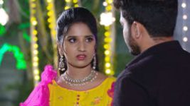 Raktha Sambandam S01E696 14th November 2020 Full Episode