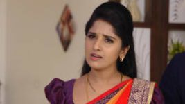 Raktha Sambandam S01E699 18th November 2020 Full Episode