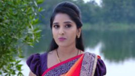 Raktha Sambandam S01E701 20th November 2020 Full Episode