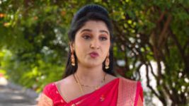 Raktha Sambandam S01E738 2nd January 2021 Full Episode