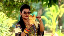 Ranna Ghar S01E4837 16th December 2021 Full Episode