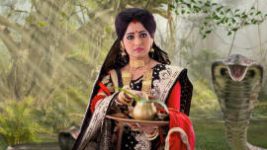 Saat Bhai Champa S01E59 24th January 2018 Full Episode