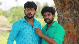 Saravanan Meenatchi S18E380 Saravanan, Sankara Pandi's Plan Full Episode