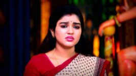 Sembaruthi S01E1224 20th December 2021 Full Episode