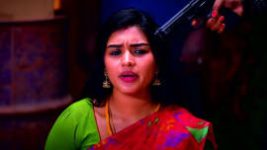 Sembaruthi S01E1255 19th January 2022 Full Episode