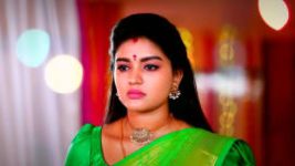 Sembaruthi S01E1337 24th April 2022 Full Episode
