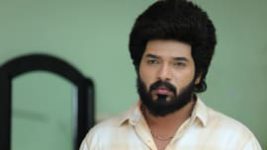 Sembaruthi S01E492 31st May 2019 Full Episode
