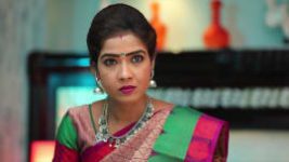 Sembaruthi S01E502 12th June 2019 Full Episode