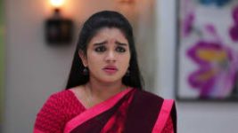 Sembaruthi S01E503 13th June 2019 Full Episode