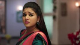 Sembaruthi S01E506 17th June 2019 Full Episode