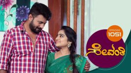 Sevanthi S01 E1051 19th November 2022