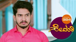 Sevanthi S01 E384 31st August 2020