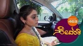 Sevanthi S01 E463 17th December 2020