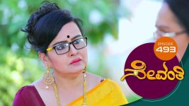 Sevanthi S01 E493 25th January 2021