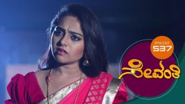 Sevanthi S01 E537 17th March 2021