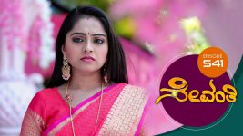 Sevanthi S01 E541 22nd March 2021