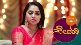 Sevanthi S01 E543 24th March 2021