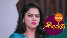 Sevanthi S01 E973 20th August 2022