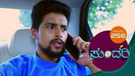 Sundari (kannada) S01 E256 19th November 2021