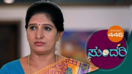 Sundari (kannada) S01 E446 1st July 2022