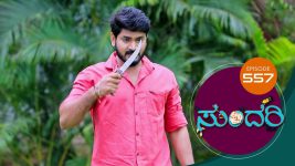 Sundari (kannada) S01 E557 8th November 2022