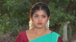 Suryavamsham S01E530 18th July 2019 Full Episode