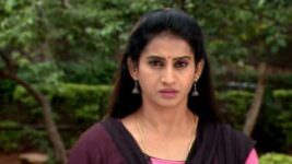 Suryavamsham S01E549 14th August 2019 Full Episode