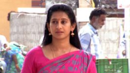 Suryavamsham S01E553 20th August 2019 Full Episode