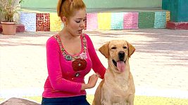Taarak Mehta ka Ooltah Chashmah S01E1093 The Muncipal Corporation Intervenes Full Episode