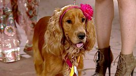 Taarak Mehta ka Ooltah Chashmah S01E1105 Popatlals Dreams Of Marriage Full Episode