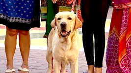 Taarak Mehta ka Ooltah Chashmah S01E1110 The Kidnappers Full Episode
