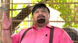 Taarak Mehta ka Ooltah Chashmah S01E3159 Mission Kala Kauwa Full Episode