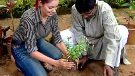 Taarak Mehta ka Ooltah Chashmah S01E447 The Punishment Full Episode