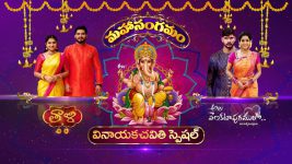 Thaali S01 E320 14th September 2021
