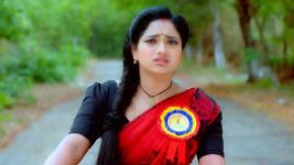 Trinayani (Kannada) S01E463 13th July 2022 Full Episode