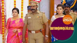 Vanathai Pola S01 E263 2nd November 2021