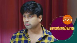 Vanathai Pola S01 E273 15th November 2021