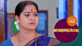 Vanathai Pola S01 E42 25th January 2021