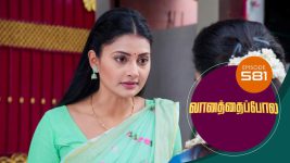 Vanathai Pola S01 E581 10th November 2022