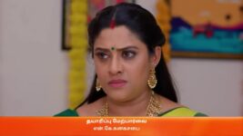 Karthigai Deepam S01 E40 25th January 2023